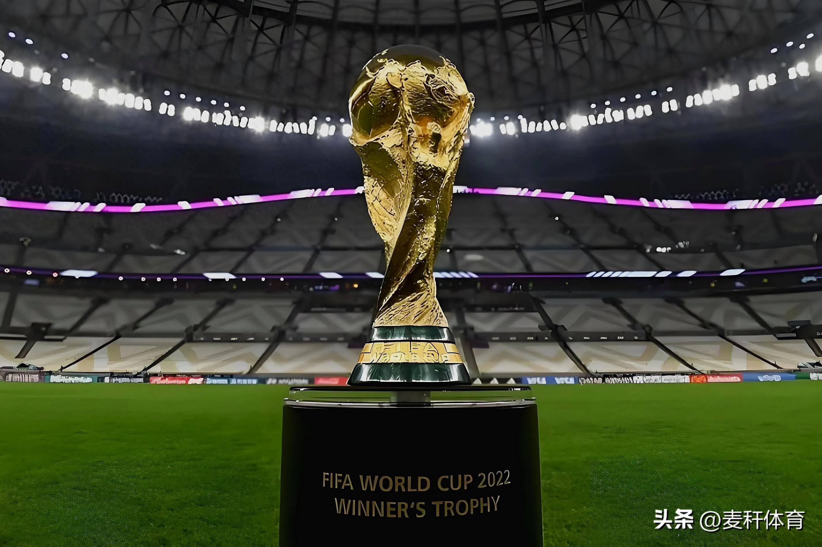 也反映了荷 也反映了荷