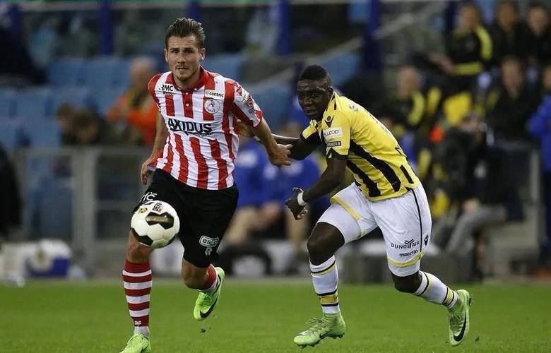 翼卫稀缺且 翼卫稀缺且